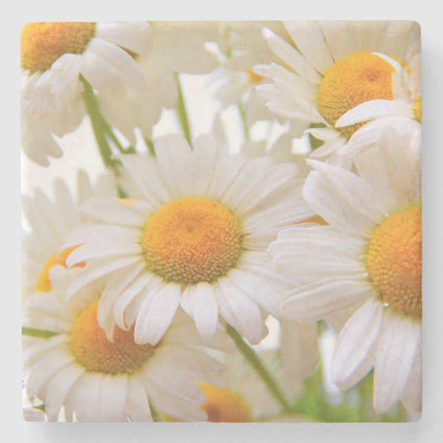 Dessous-de-verre En Pierre Bright Summer Daisies Flowers (Devant)