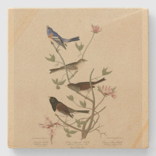 Dessous-de-verre En Pierre Bunting, Sparrow, Junco, (Finches) Oiseaux d'Audub