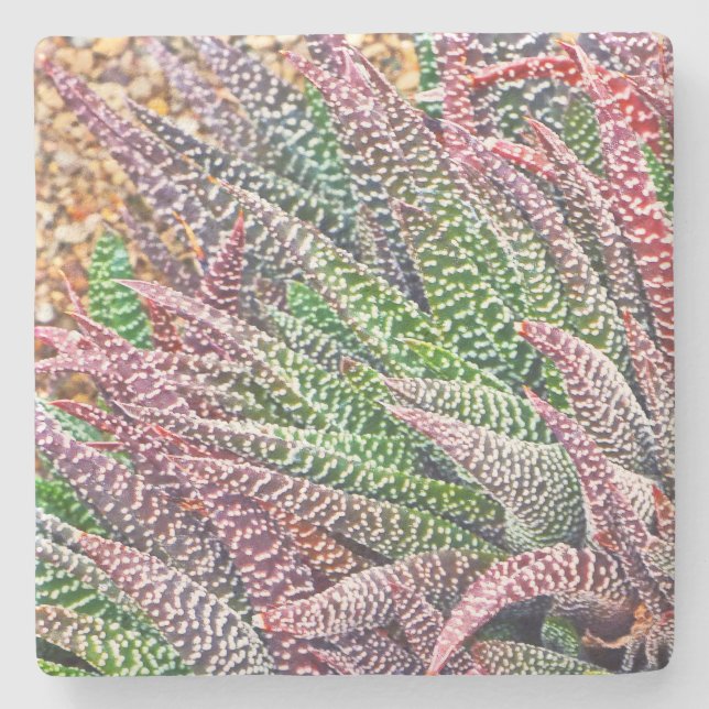 DESSOUS-DE-VERRE EN PIERRE "CACTUS" (Devant)