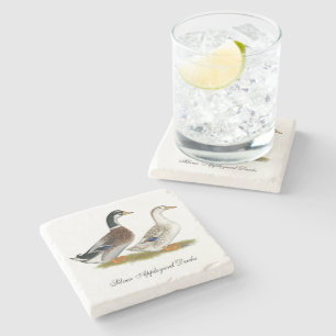 Dessous-de-verre En Pierre Canards :  Argent