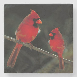 DESSOUS-DE-VERRE EN PIERRE CARDINAL