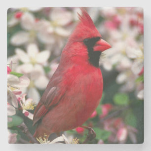 Dessous-de-verre En Pierre Cardinal des hommes rouges