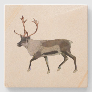 Dessous-de-verre En Pierre Caribou des bois
