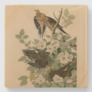 Dessous-de-verre En Pierre Carolina Turtle Dove Mourning Dove Audubon's Birds