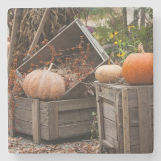 Dessous-de-verre En Pierre Caroline du Nord, Linville, citrouilles d'automne