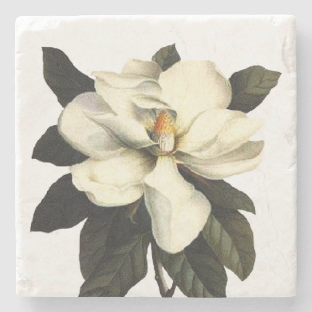 Dessous-de-verre En Pierre Carré de fleur de magnolia (Devant)