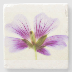 Dessous-de-verre En Pierre Carreaux de fleurs mauves