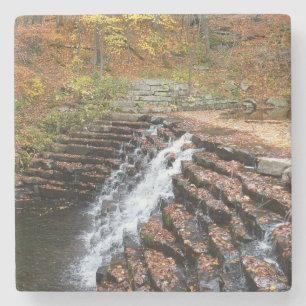 Dessous-de-verre En Pierre Cascade du parc d'état Laurel Hill State Park II