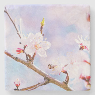 Dessous-de-verre En Pierre Cerise Japonaise - Sakura En Fleur