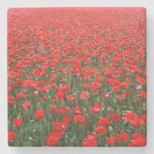 Dessous-de-verre En Pierre Champ de Red Poppies