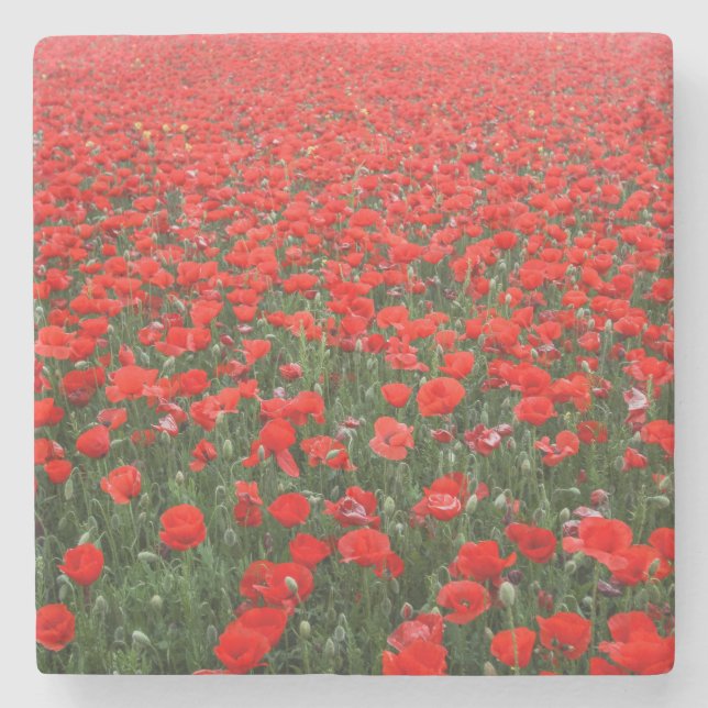 Dessous-de-verre En Pierre Champ de Red Poppies (Devant)