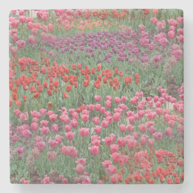 Dessous-de-verre En Pierre Champ De Tulipes (Devant)