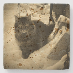 Dessous-de-verre En Pierre Chat d'ange grincheux en neige