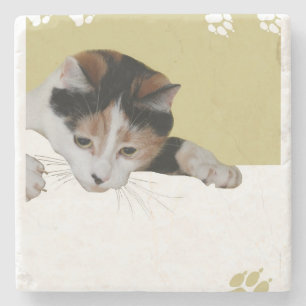 Dessous-de-verre En Pierre Chat de calicot