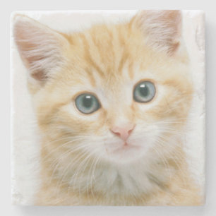Dessous-de-verre En Pierre Chat tigré d'orange douce