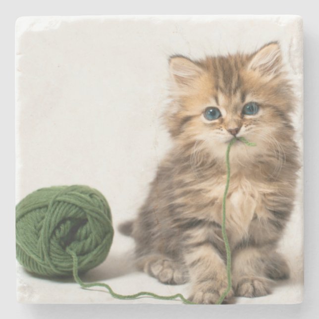 Dessous-de-verre En Pierre Chaton avec le fil vert (Devant)
