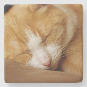 Dessous-de-verre En Pierre Chaton couchant