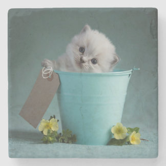 Dessous-de-verre En Pierre Chaton dans un seau