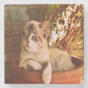 Dessous-de-verre En Pierre Chaton endormi confortable