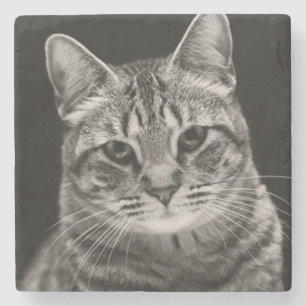 Dessous-de-verre En Pierre Chaton tigré noir