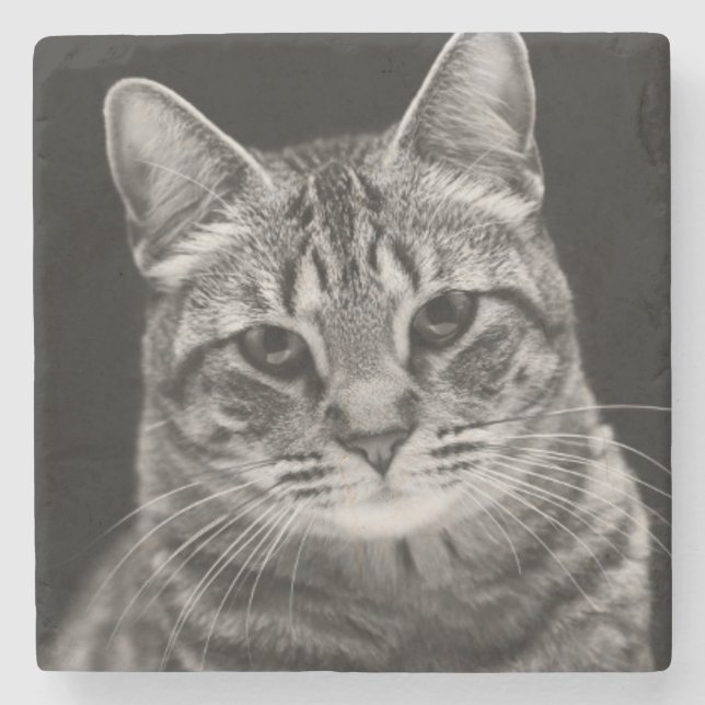 Dessous-de-verre En Pierre Chaton tigré noir (Devant)