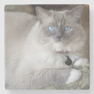 Dessous-de-verre En Pierre Chatte Ragdoll