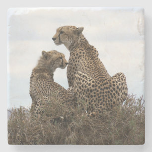 Dessous-de-verre En Pierre Cheetah Mom and Cub (couleur pleine) Dessous de ve