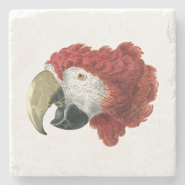 Dessous-de-verre En Pierre Chef d'une Macaw (1725-1792) Aert Schouman (Devant)