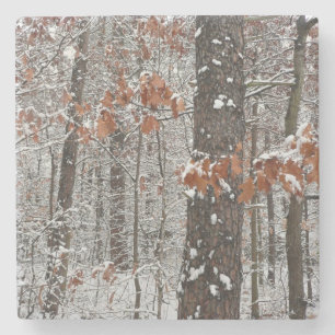 Dessous-de-verre En Pierre Chênes couverts de neige hiver Photographie de la 