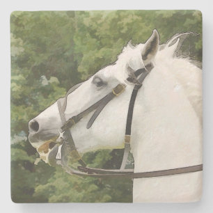 DESSOUS-DE-VERRE EN PIERRE CHEVAUX