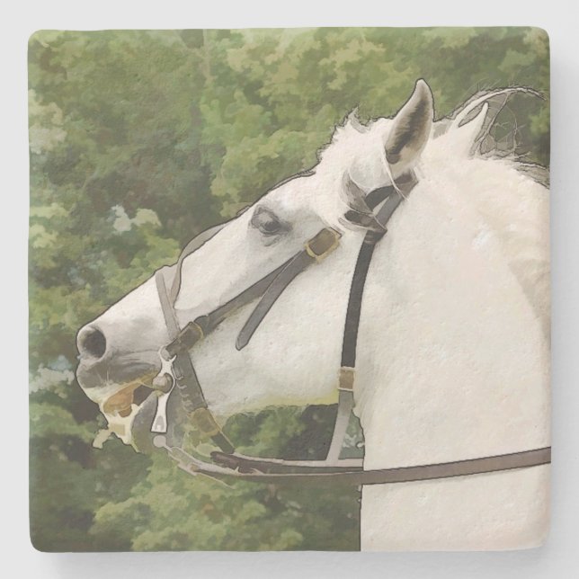 DESSOUS-DE-VERRE EN PIERRE CHEVAUX (Devant)