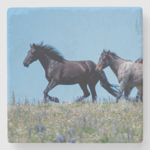 Dessous-de-verre En Pierre Chevaux sauvages à Lupine