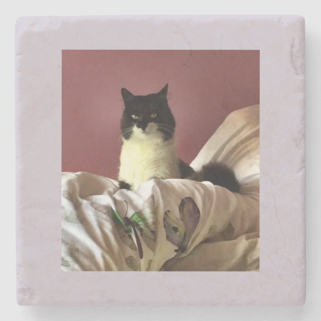 Dessous-de-verre En Pierre Chillax de chat (Devant)