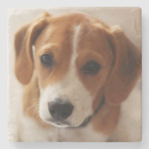 Dessous-de-verre En Pierre Chiot 2 de beagle