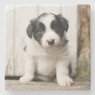 Dessous-de-verre En Pierre Chiot de border collie