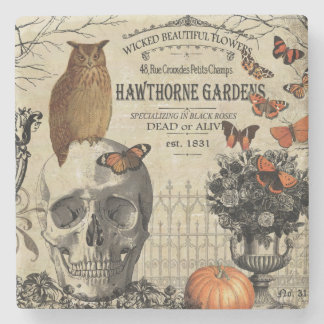 Dessous-de-verre En Pierre Chouette et crâne vintage moderne d'Halloween