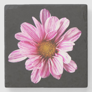 Dessous-de-verre En Pierre Chrysanthemum Fleur coastercnm