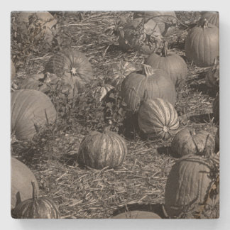 Dessous-de-verre En Pierre Citrouille
