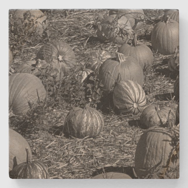 Dessous-de-verre En Pierre Citrouille (Devant)