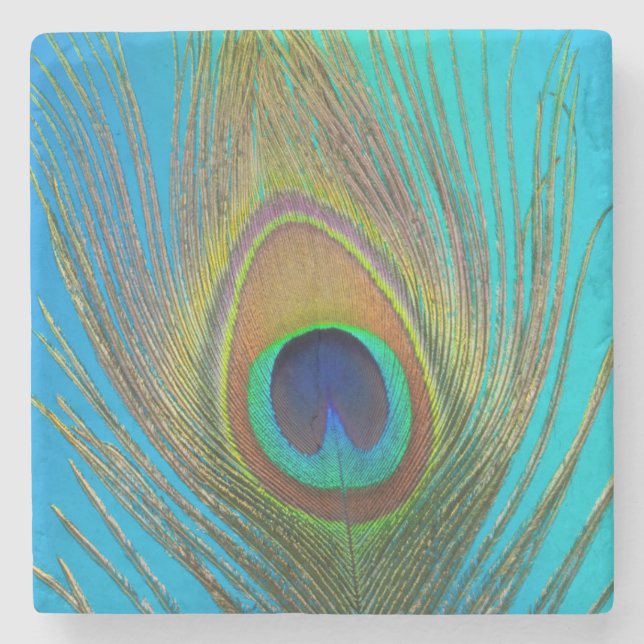 Dessous-de-verre En Pierre Close up of peacock feather (Devant)