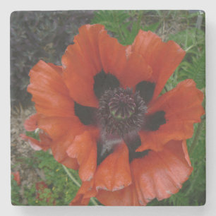 Dessous-de-verre En Pierre coaster pour boisson poppy orientale