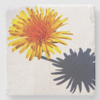 Dessous-de-verre En Pierre Coastère Dandelion et Ombre