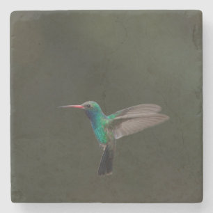 Dessous-de-verre En Pierre Colibri à bec large en vol