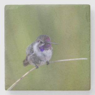 Dessous-de-verre En Pierre Colibri de Costa en août léger