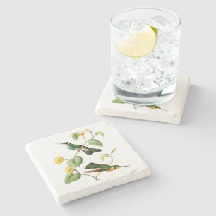 Dessous-de-verre En Pierre Colibri Throated blanc de gemme de montagne