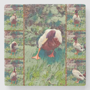 Dessous-de-verre En Pierre Collage photo Bored Duck, Dessous de verre de pier