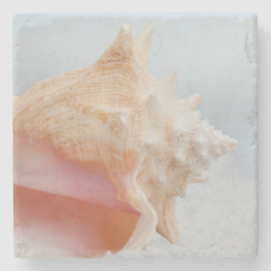Dessous-de-verre En Pierre Conque Shell la Floride