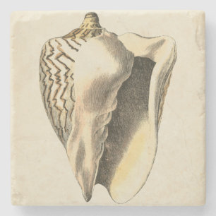 Dessous-de-verre En Pierre Conque vintage Shell de sépia