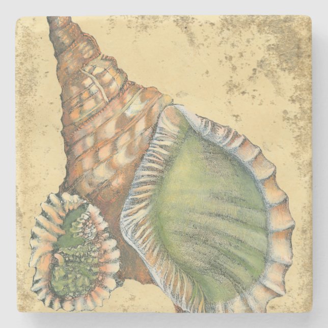 Dessous-de-verre En Pierre Coquillage Brown et vert (Devant)