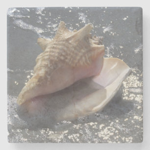 Dessous-de-verre En Pierre Coquillage sur l'île de la plage Sanibel, la